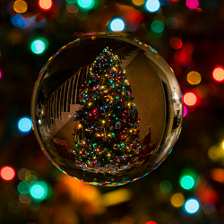 Universidades no Estrangeiro Natal